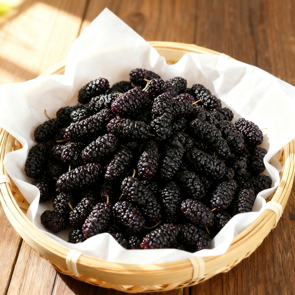 ผลไม้หม่อนแห้งธรรมชาติแท้ - วั - Dried Fruit Mix บทวิจารณ์และราคา